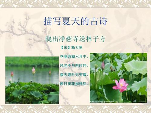 关于夏的诗
