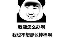 你怎样敷衍生活,生活也会怎样敷衍你