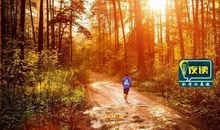 你怎样过早晨，就怎样过一生