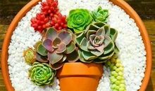 家风，才是一个家庭最宝贵的财富