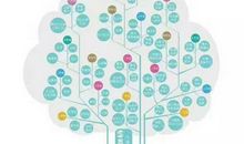 卓越的品质：耐心