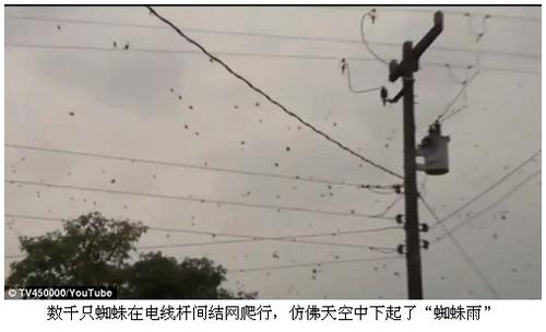 关于蜘蛛拉网的寓言