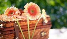 祝福别人幸福的话