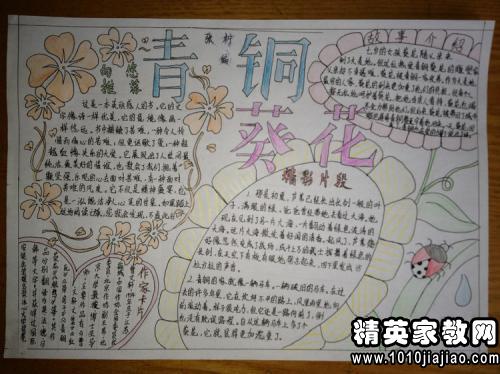阅读后的青铜向日葵500字