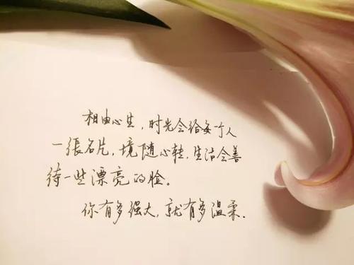 不要强迫自己，你永远不知道自己有多好