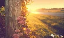 成功者每天会自问8个问题