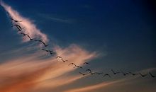 姜夔：点绛唇·丁未冬，过吴松作