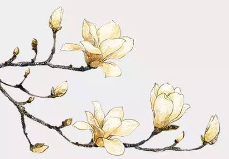 何竹：蝶恋花