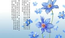 关于兰花的句子