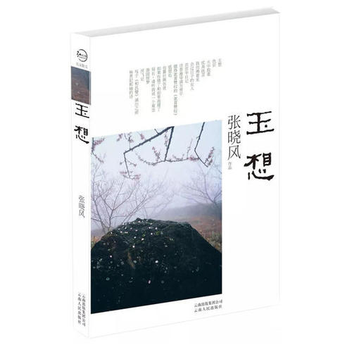 张晓峰：我是
