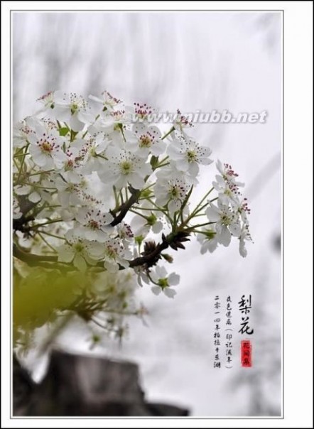 写句子