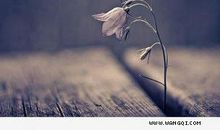 人既然知道努力就可以进步，为什么还是会不努力呢？