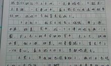 描写丁香花的段落片段