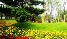 描写夏天的精彩片段