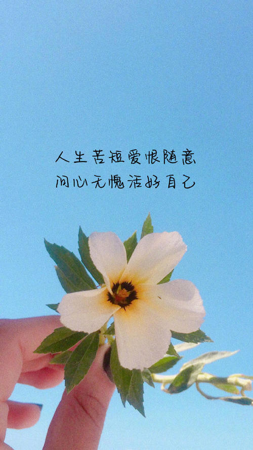 情感话语