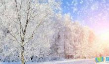 描写大雪纷飞的优美句子