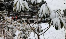 断了退路，才有出路