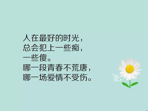 生活见识短语