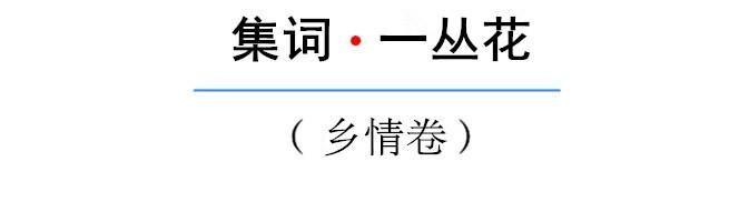 陆祖uga：宴会庆都