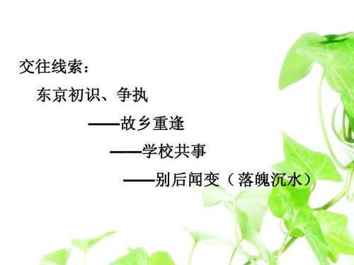 范爱农主要内容