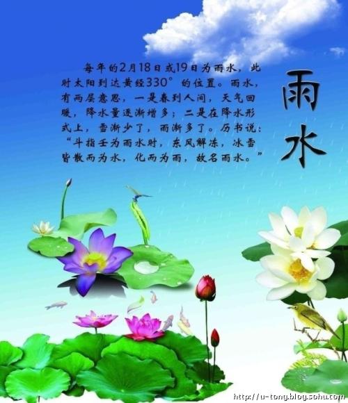 与花有关的寓言词