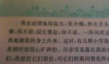 优美的句子20字