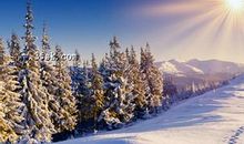 形容天冷的句子