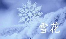 关于雪的诗句