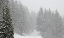 描写冬天雪花的经典诗句