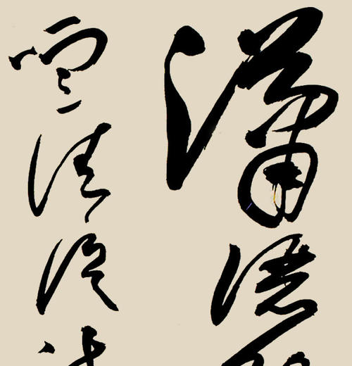 戴树伦的名言