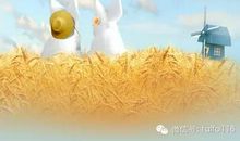 人生感悟:放下即平地