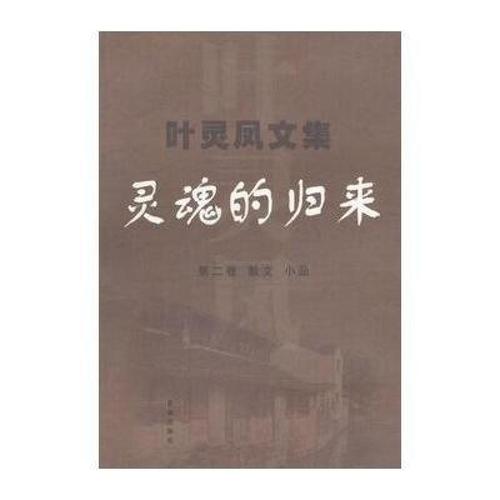 叶凌峰：回来