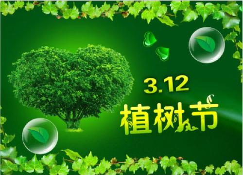 植树节活动计划