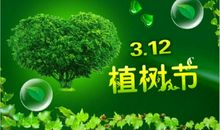 植树节活动方案
