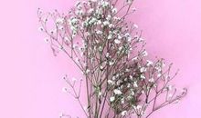 优美句子：生活一半是回忆，一半是继续