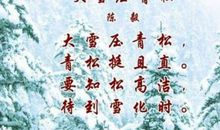 描写青松的句子