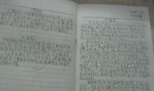 优美散文摘抄500字