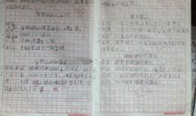 优美文章摘抄600字