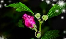 累了，就换条路走