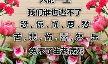 关于生与死的句子