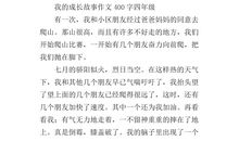 自己的成长经历作文