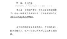 我爱冬天作文300字