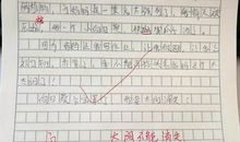 我心目中的太阳作文