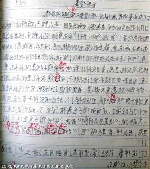 初中作文自我介绍