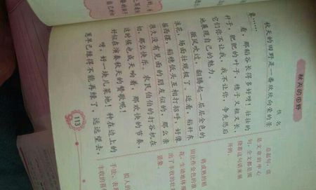 秋田组成400字