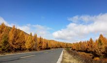 走在一起是缘分，一起在走是幸福