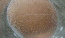 醋泡鸡蛋的作文