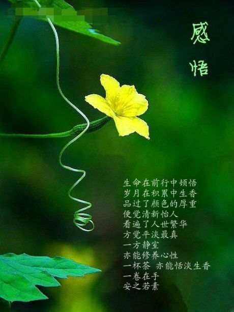 如果你不受伤，你会没事的