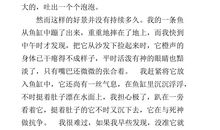 我与动物的故事作文