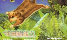 七号梦工厂读后感